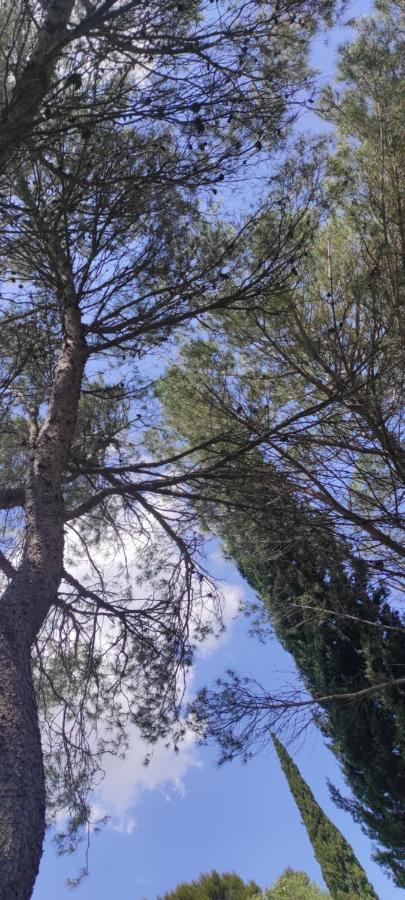 Le Nid Du Rossignol * Nîmes